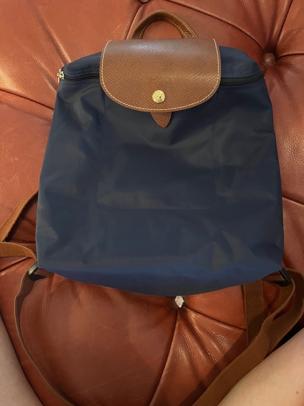 EUC Longchamp Navy Backpack with Brown Leather Flap